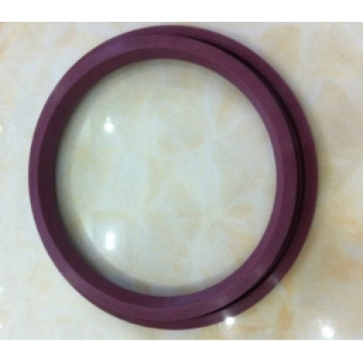 sealing ring，P17460C-01