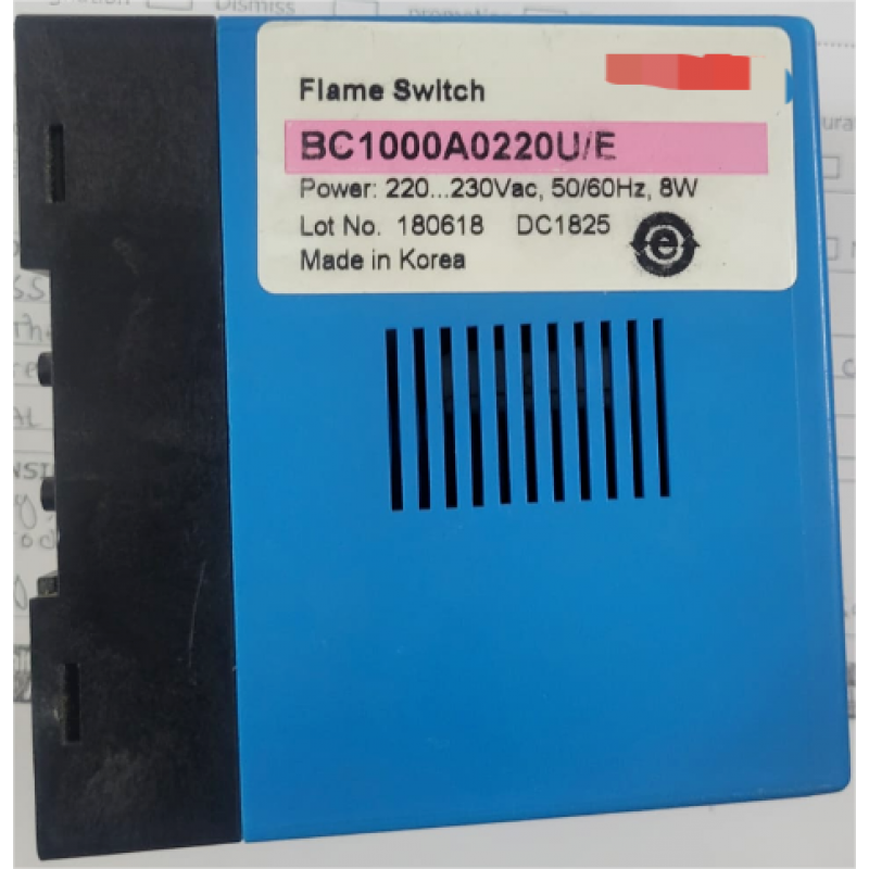 Flame switch BC1000A0220U/E