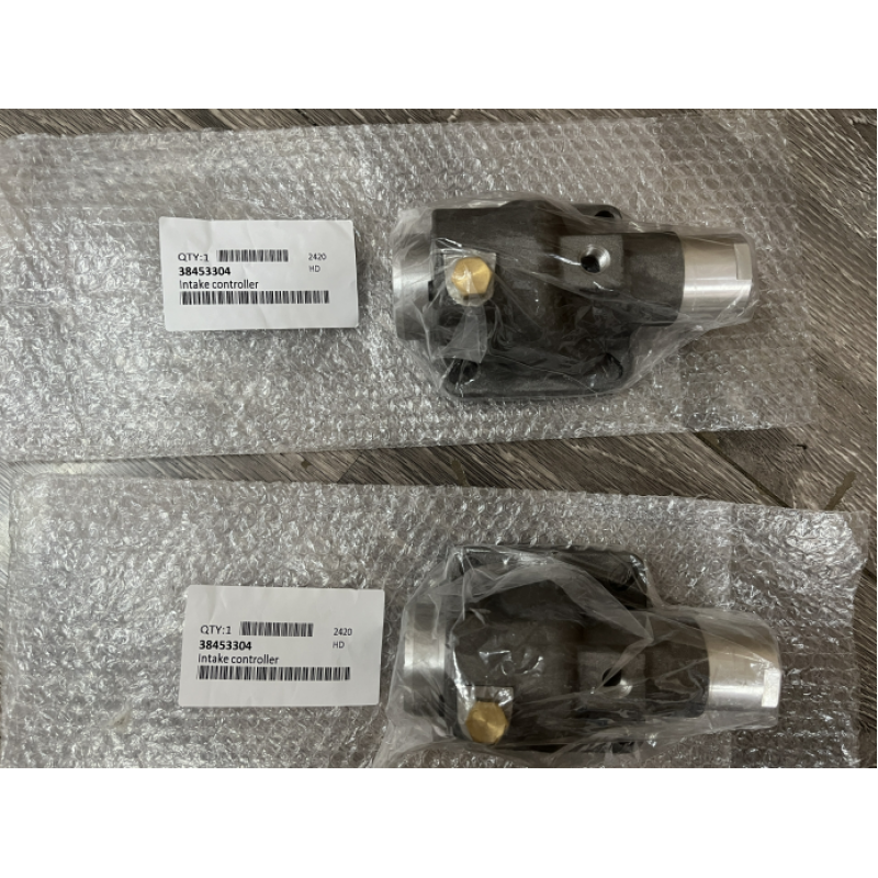 intake valve   38453304